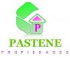 Pastene propiedades